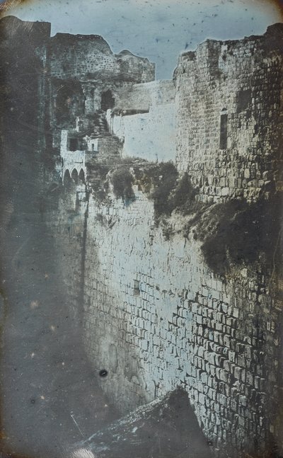 耶路撒冷的Probatic Pool（耶路撒冷，可能的游泳池） 作者 菲利伯特·约瑟夫·吉罗·普兰吉